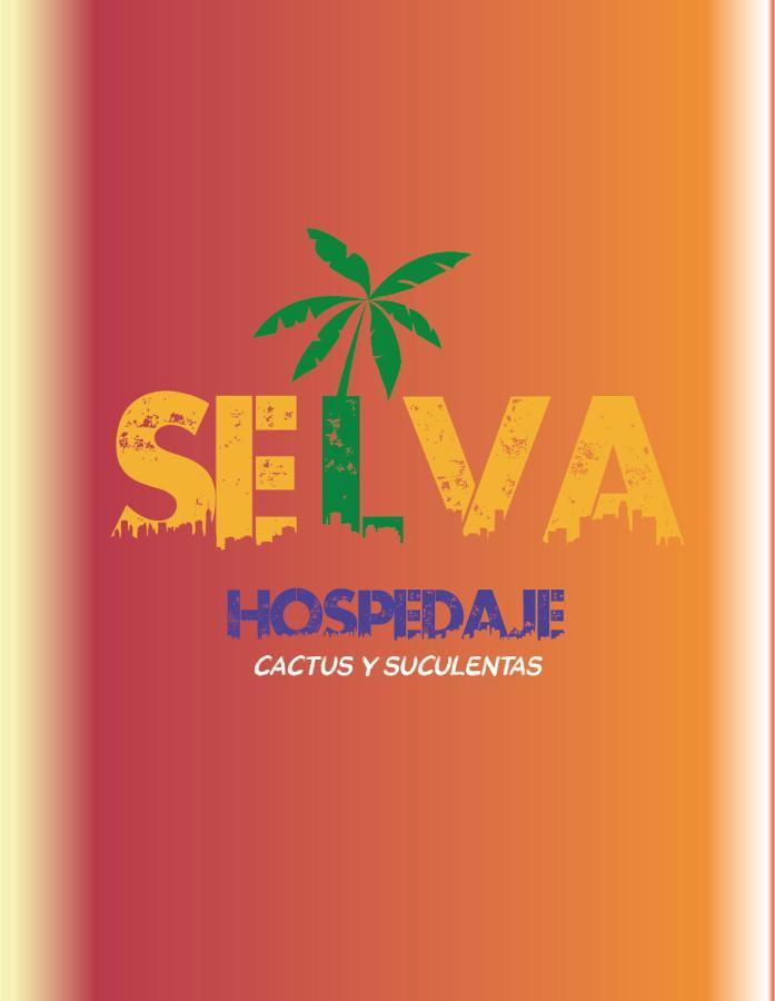 וואלפאראיסו Selva Hospedaje מראה חיצוני תמונה